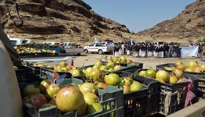  - أبناء الجعملة بمديرية مجز ينفذون وقفة احتجاجية ويقدمون قافلة غذائية للجيش واللجان..
