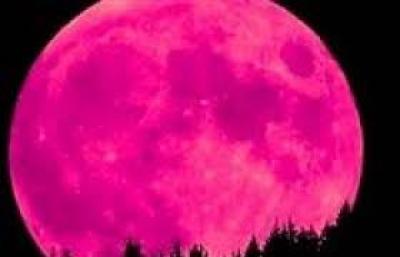  - "القمر الوردي".. ظاهرة فلكية "ساحرة" آخر الأسبوع..
