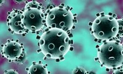  - العلماء يعثرون على فيروس كورونا في 15% من هذه الحيوانات..
