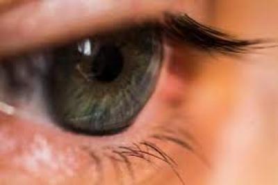  - الأطعمة المضادة للالتهابات “الأفضل” لمعالجة جفاف العين ومنع فقدان البصر..

