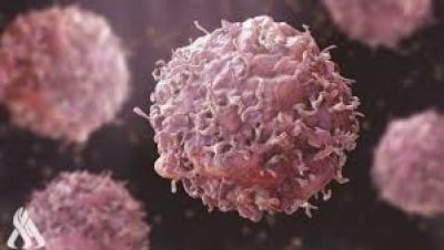تقرير..ارتفاع معدلات الإصابة بالسرطان بنسبة 77%ى- تفاصيل	 
